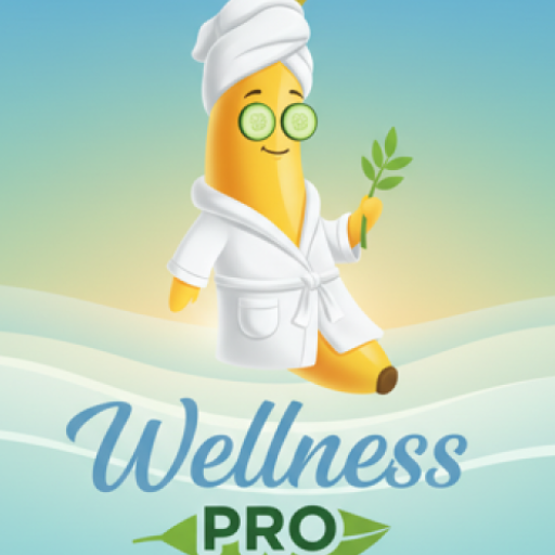 Wellness Pro - Professional Spa Management Solution